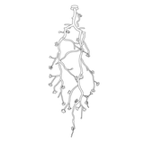 Large Long Branch Flower Chandelier – Ambient Illumination in Luxury Interior Setting View 10
