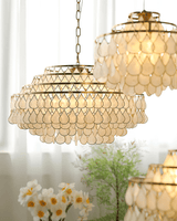 Teardrops Shell Curated Iron & Glass Chandelier installed in residential dining space