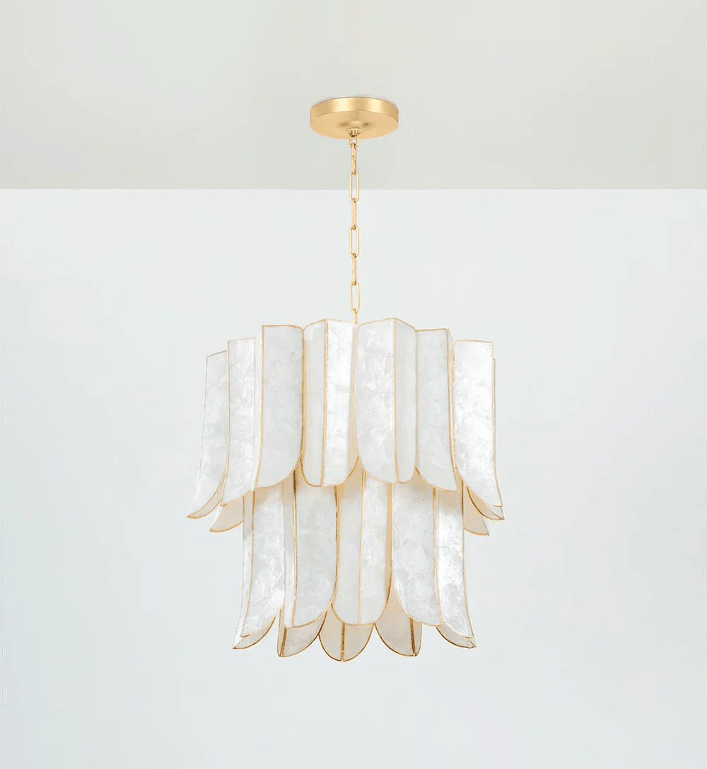 Cascara Shell Curated Iron & Glass Chandelier – dimensional scale reference