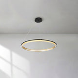 Acrylic LED Round Curated Optical Acrylic Chande – architectural ceiling profile #1