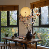 Spanish Alabaster Pendant Light View 3 | Akari A Pendant Swag Light Spanish Alabaster Pendant Light | The Alabaster Edit | JINSHE | JINSHE
