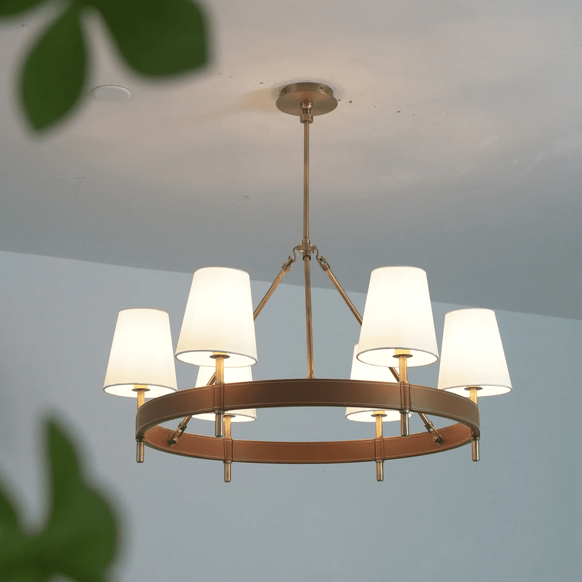 Arianna Leather Curated Solid Brass Chandelier – dimensional scale reference