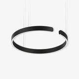 Circular Curated Iron & Glass Chandelier – Iron & Glass Chandelier
