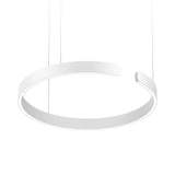 Circular Curated Iron & Glass Chandelier – ∅ 31.5 x H 59  Dia 80cm x H 150cm finish configuration #1