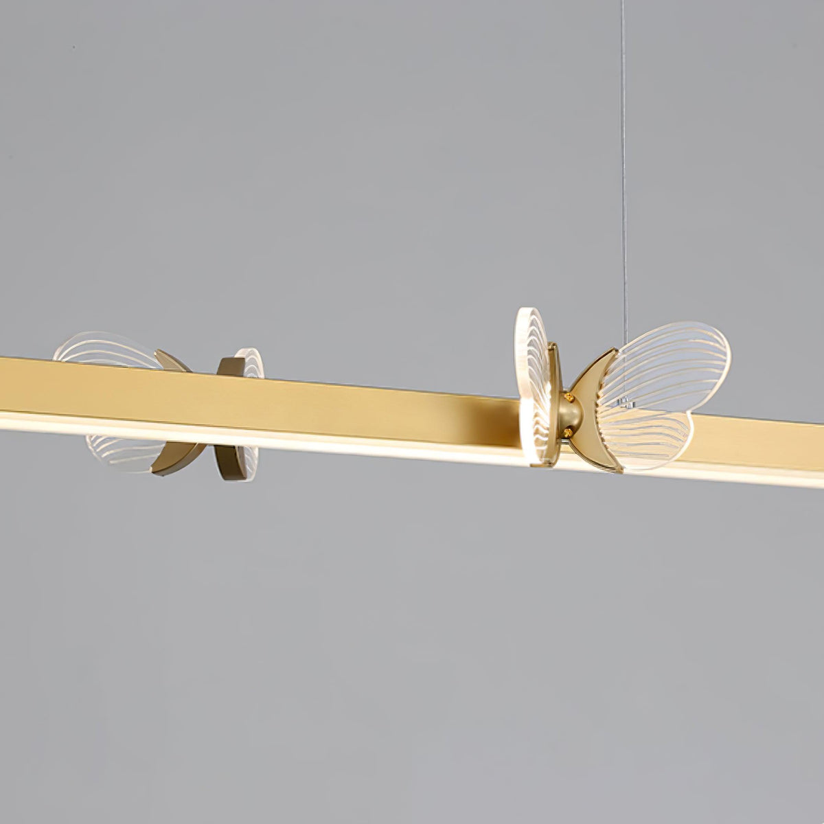 Cohen Butterfly Curated Optical Acrylic Chandeli – macro detail view #1