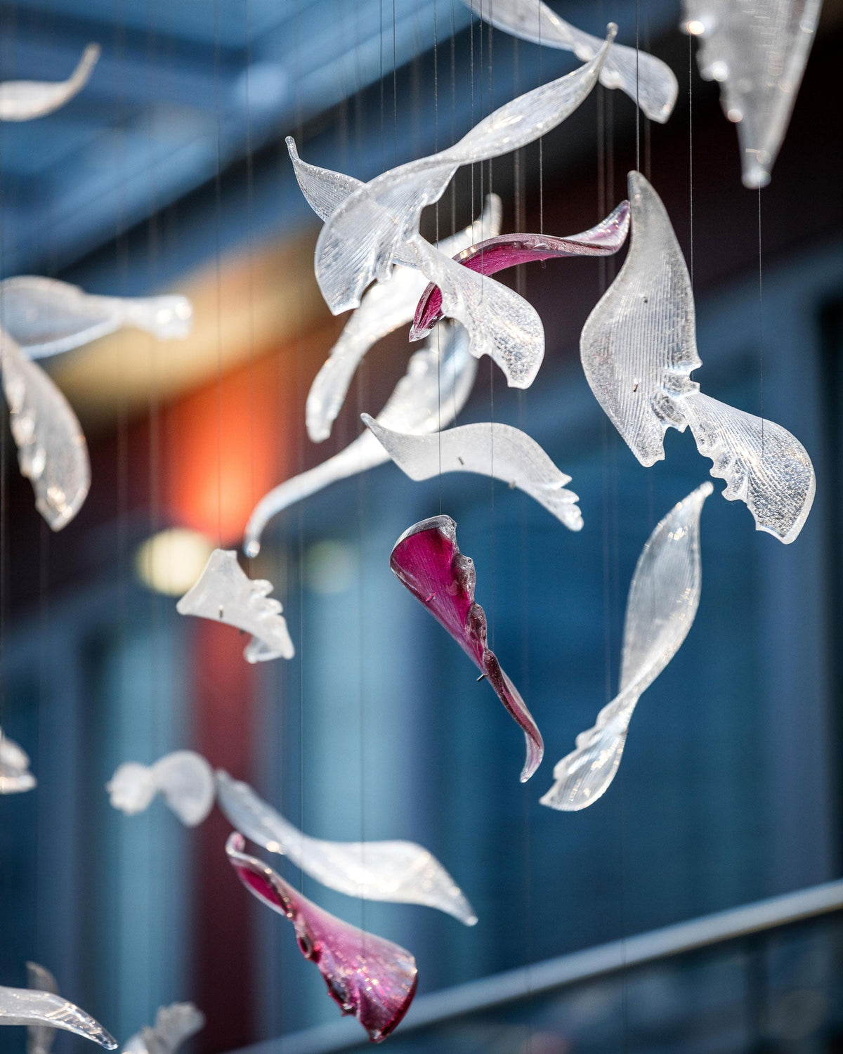 Ostrich Feather craftsmanship detail on Pluma Sculptural Feather Chandelier