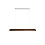 Danqiu Curated Iron & Glass Chandelier – L 63 x H 2.3 x H 2.6 finish configuration #1