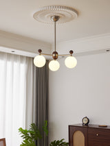 Ecliptica Curated Mouth-Blown Frosted Glass Chan – dimensional scale reference