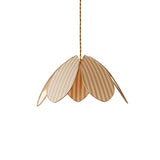 Lienne Curated Iron & Glass Pendant Light – Dia 32cm x H 31cm ∅ 12.6 x H 12.2 finish configuration