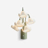 Mivella Curated Optical Acrylic Wall Sconce