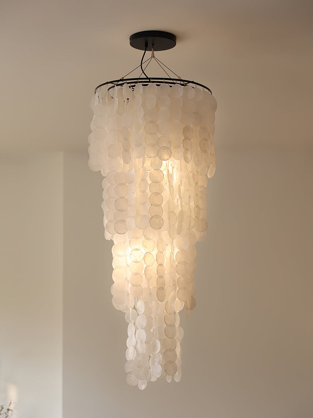 Nerida Shell Curated Iron & Glass Chandelier