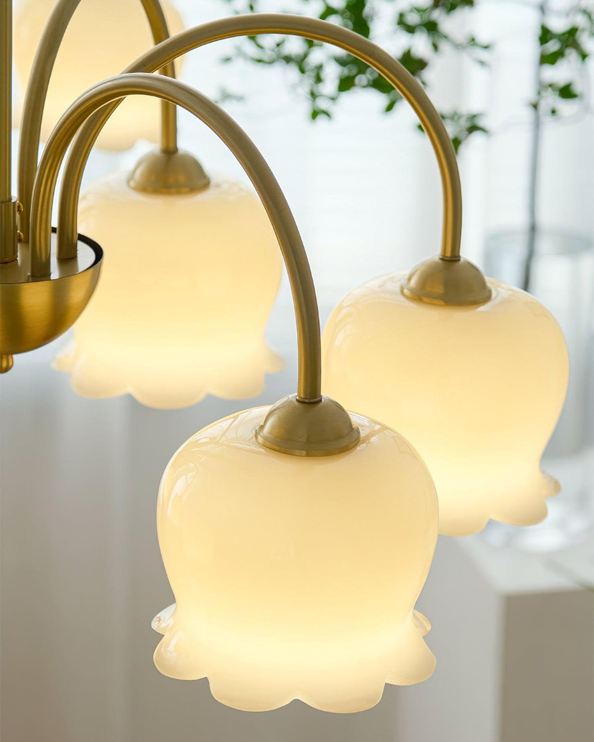 Orchids Brass Chandelier – Ambient Illumination in Luxury Interior Setting View 13