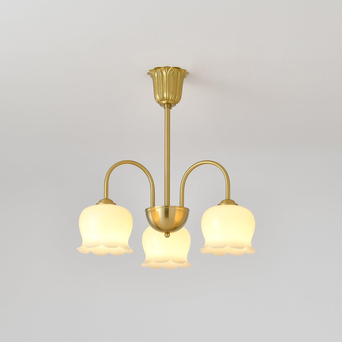 Orchids Brass Chandelier – Ambient Illumination in Luxury Interior Setting View 16