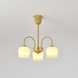 Orchids Brass Chandelier – Ambient Illumination in Luxury Interior Setting View 16