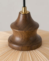 Pliora Curated Iron & Glass Pendant Light – macro detail view #1