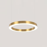 Ring LED Curated Optical Acrylic Chandelier – dimensional scale reference #1