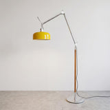 Rosso Floor Curated Iron & Glass Floor Lamp – W 32 cm × H 200 cm    W 12.6 × H 78.7 finish configuration #1 #2