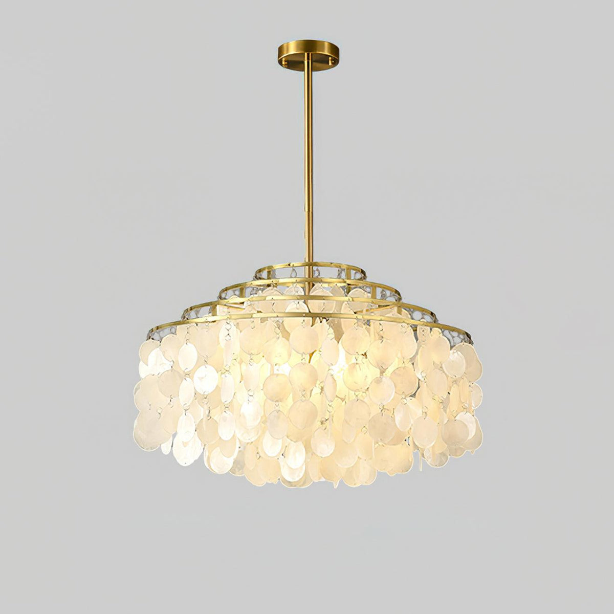 Round Shell Curated Iron & Glass Chandelier – unlit natural material contrast #1