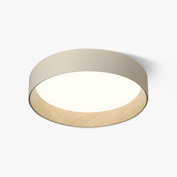 Taaks Ceiling Light