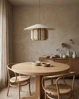 Tansora Curated Iron & Glass Pendant Light – side angled contour profile