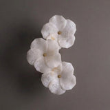 Virelle Alabaster Curated Alabaster Wall Sconce – W 19cm x H 33cm  W 7.4 x H 12.9 finish configuration
