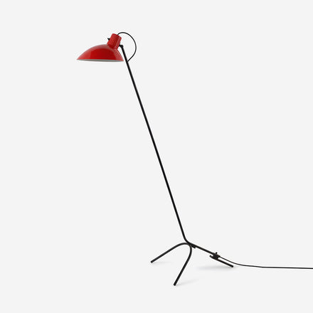 Vivid Curve Floor Lamp