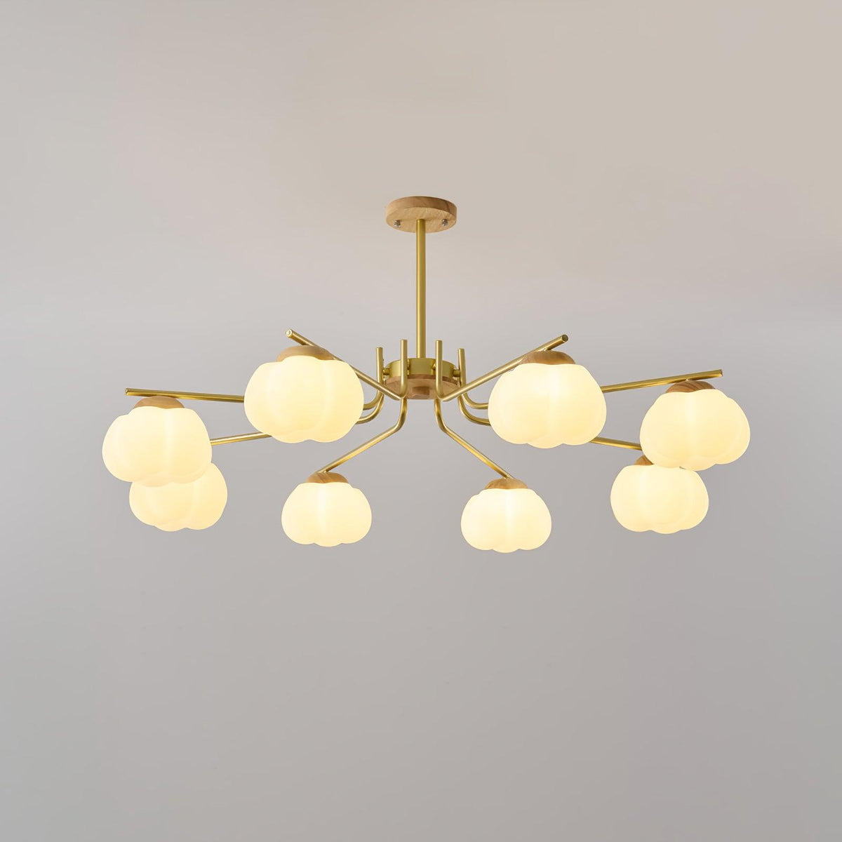 Plastic Cotton Balls Curated Iron & Glass Chande – dimensional scale reference